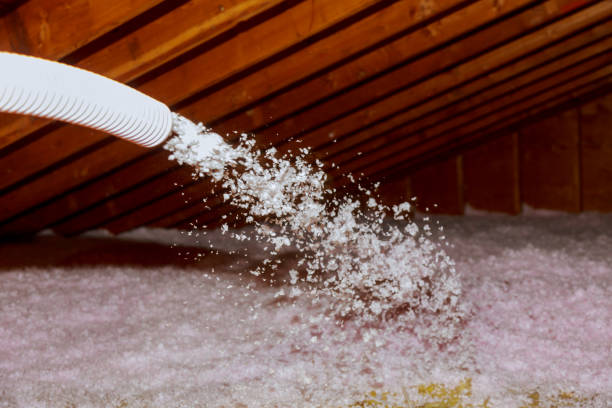 Best Geographic-Specific Insulation Services in Shelton, CT